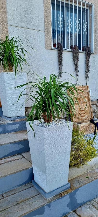 Villa Rosa De Los Vientos Les Tres Cales Ngoại thất bức ảnh